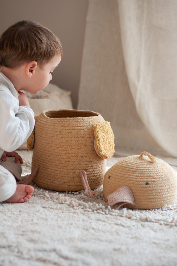 Lorena Canals | Basket - Charlie the Chicken