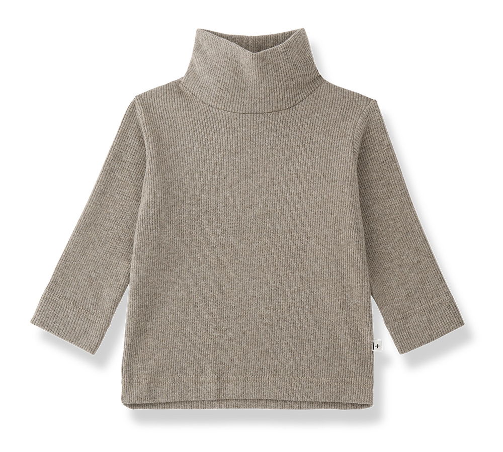 1+ In The Family Lodi Turtleneck T-Shirt in Canapa