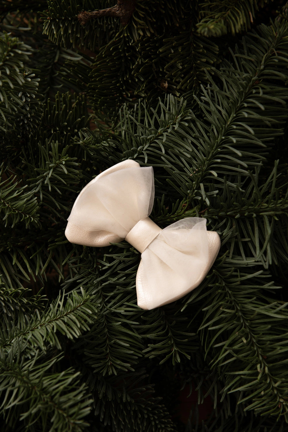 Donsje Angeline bow hairclip in Off White Metallic Leather, styled on green foliage