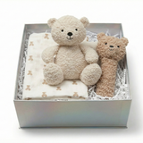 The Teddy Bear Newborn Gift Set
