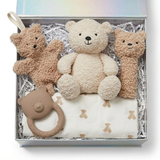 The Teddy Bear Newborn Hamper