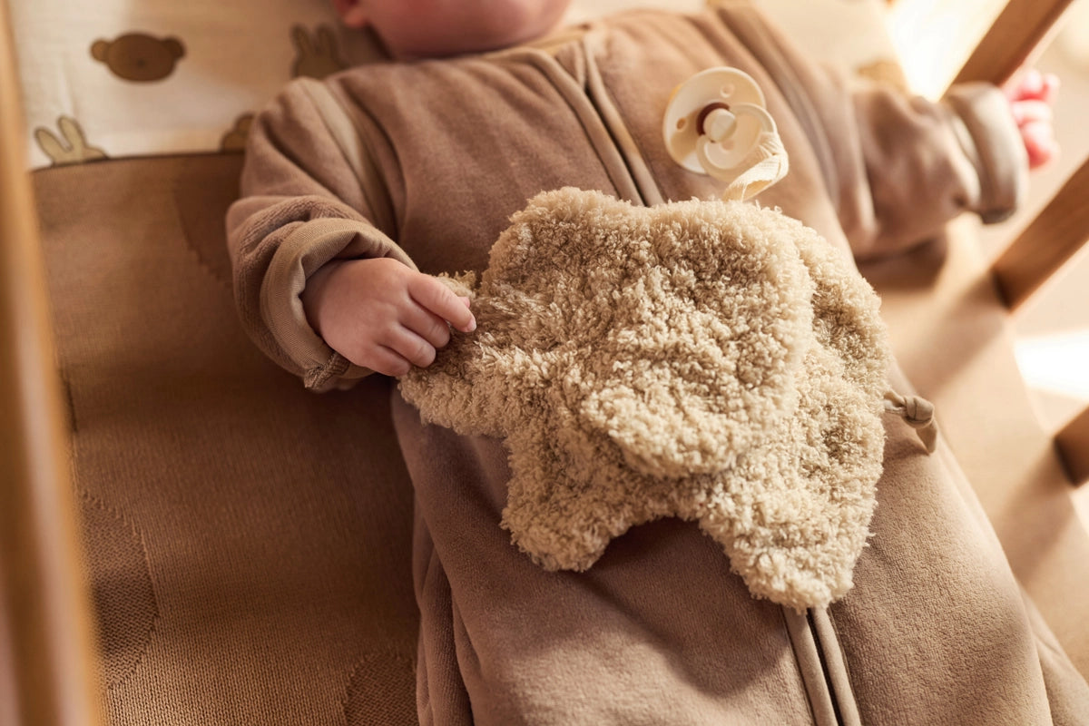 Jollein | Pacifier Cloth - Elephant Tales